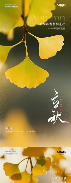 地产立秋银杏叶清新插画海报
