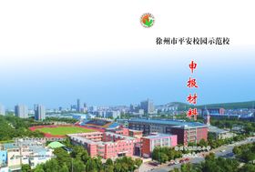 申报流程