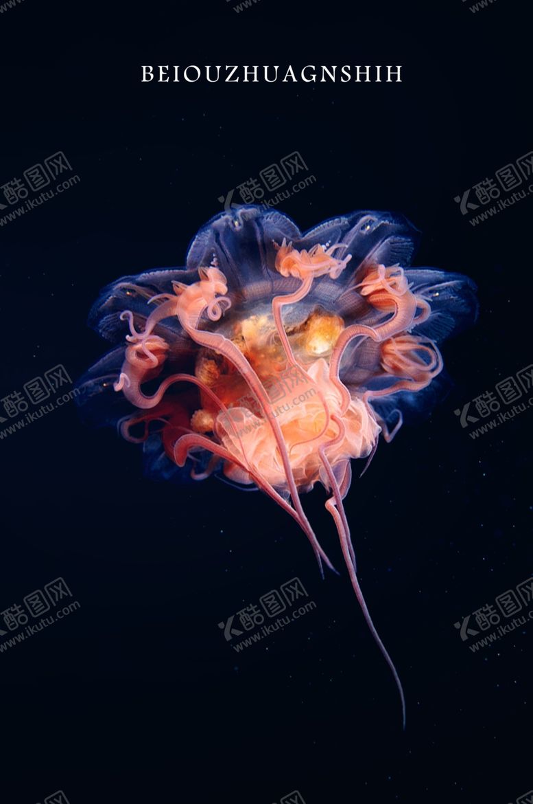 编号：93226206170847568949【酷图网】源文件下载-创意国潮装饰画图片