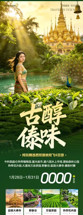 云南西双版纳勐泐傣族野象谷古醇