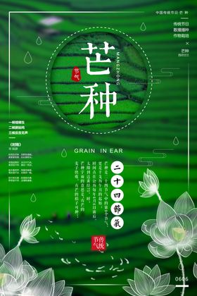 芒种海报