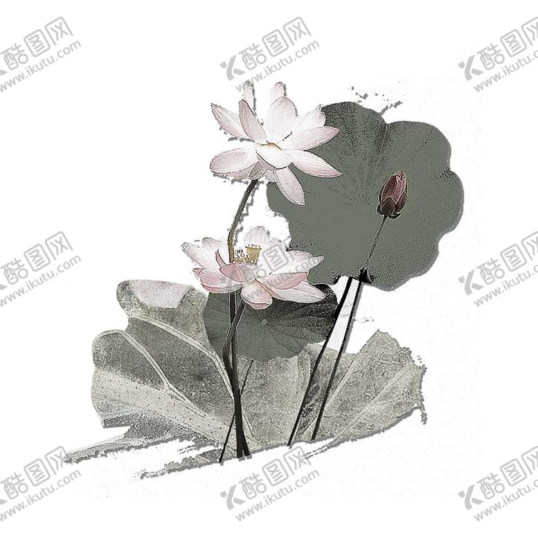 编号：98582305011747217268【酷图网】源文件下载-水墨荷花粉色荷花荷花意境