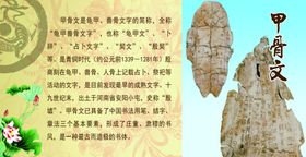 甲骨文简介