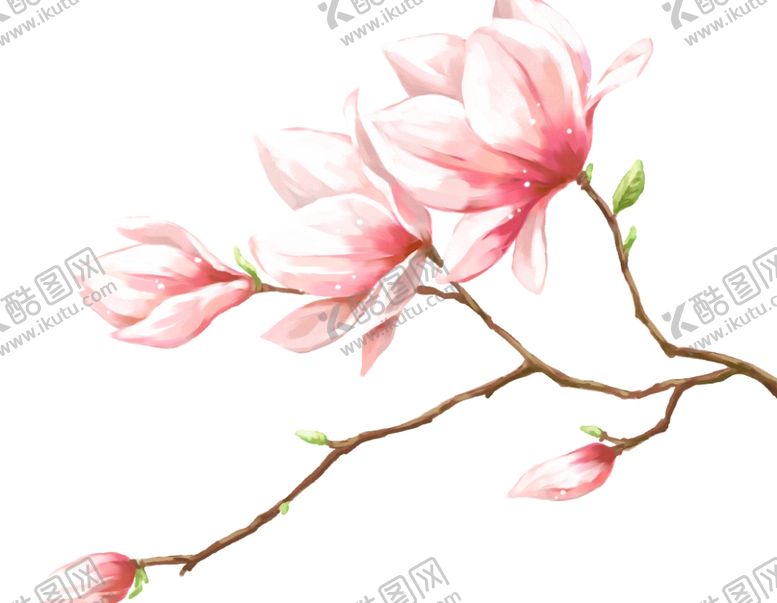 编号：13550907130032526675【酷图网】源文件下载-桃花