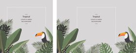夏季植物棕榈叶背景底纹