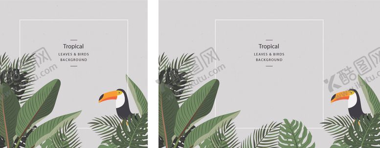 编号：33486609162037356386【酷图网】源文件下载-夏季植物棕榈叶背景底纹