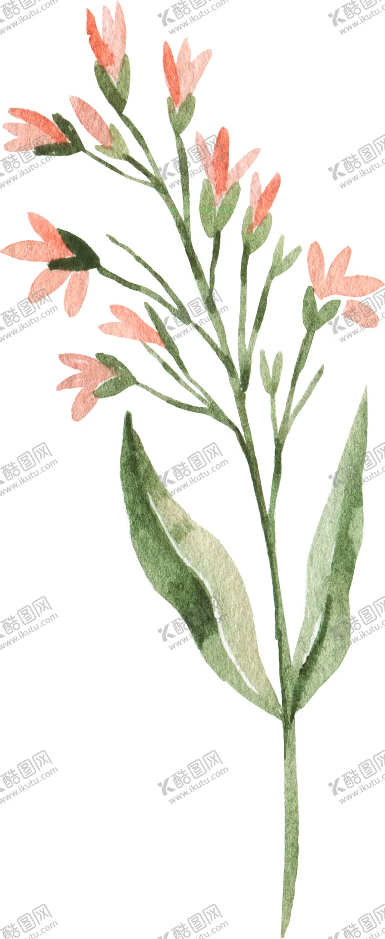 编号：25338806250933551772【酷图网】源文件下载-彩绘枝叶