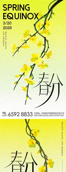 春分春天迎春花节气海报 