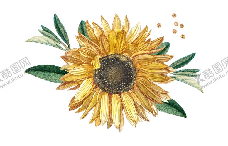 编号：37452810290956157762【酷图网】源文件下载-向日葵素材PNG免抠