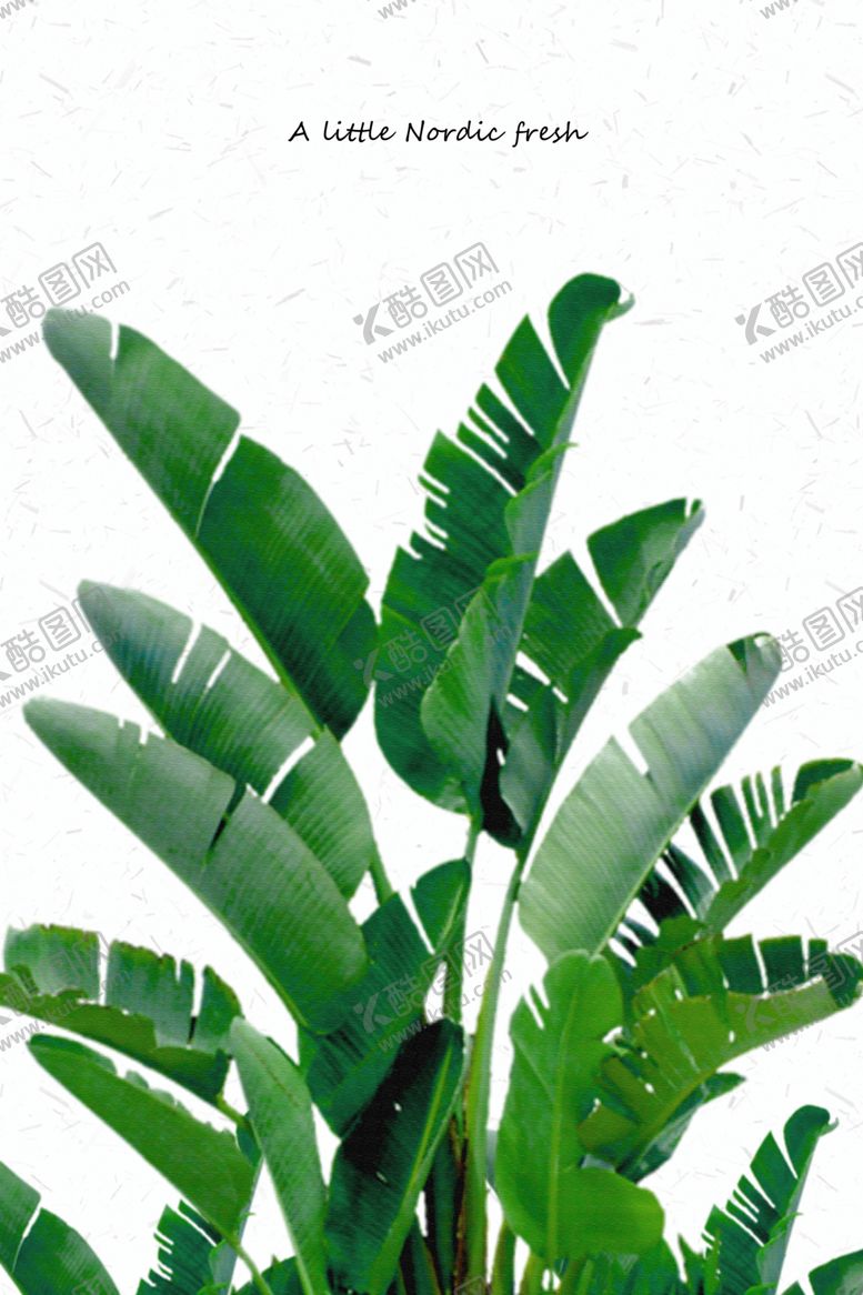 编号：17708105040815014227【酷图网】源文件下载-植物小清新