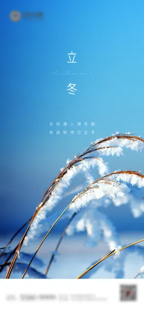 二十四节气立冬海报