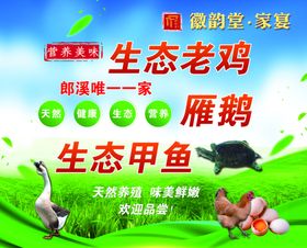 老鸡