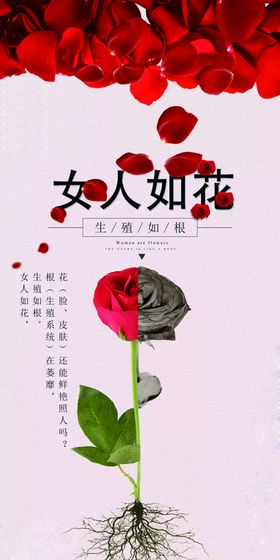 女人如花