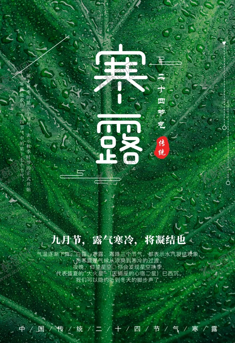 编号：41982402191428349079【酷图网】源文件下载-寒露二十四节气海报素材背景