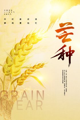 中国传统24节气芒种海报