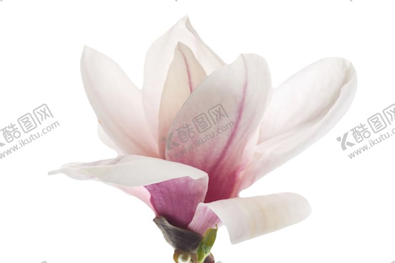 编号：51510809141520173462【酷图网】源文件下载-装饰素材