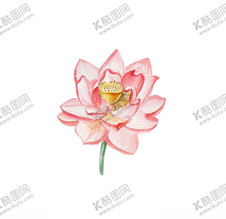 编号：68862506261740591960【酷图网】源文件下载-水墨风荷花图片