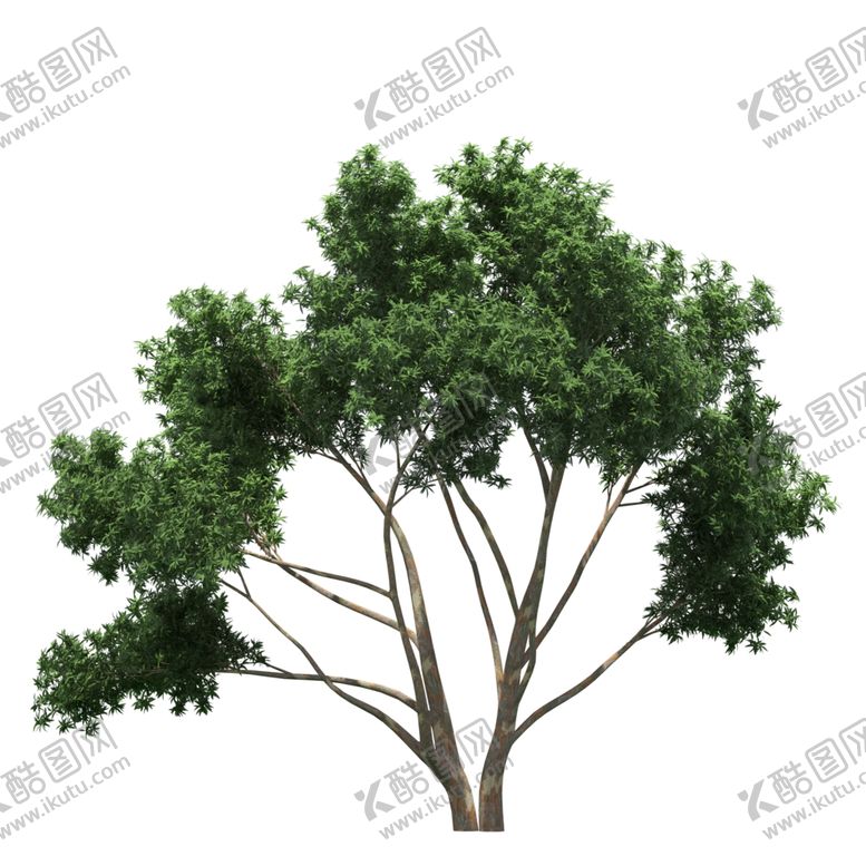 编号：69126606240327448605【酷图网】源文件下载-景观树