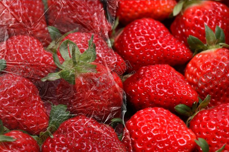 编号：25784210070346392190【酷图网】源文件下载-保鲜膜包装样机