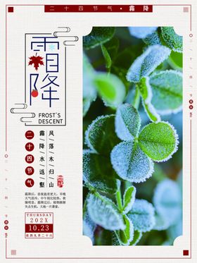 霜降节气问侯问候设计传统节气