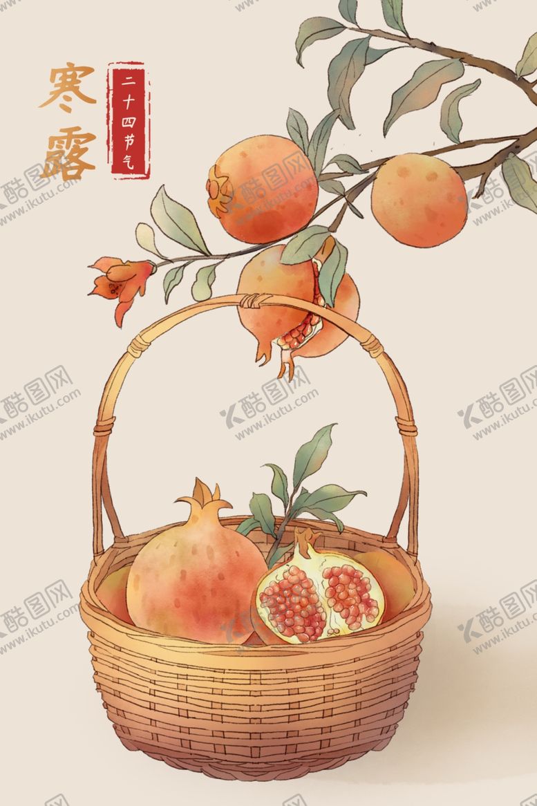 编号：13810902241212325315【酷图网】源文件下载-寒露节气石榴时来运转插画