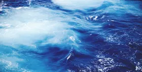 湖江海大森林公园森林生态系统湿地公园