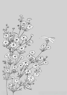 日本线描植物花卉矢量素材