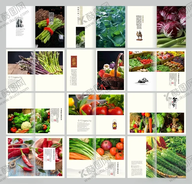 编号：43124604301150027132【酷图网】源文件下载-疏菜画册
