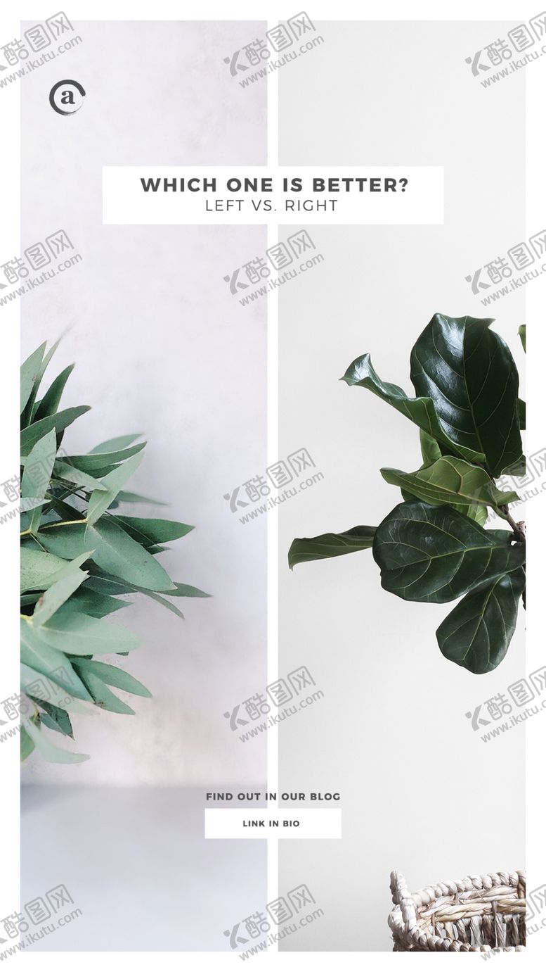 编号：94254910290151037542【酷图网】源文件下载-时尚版式风格