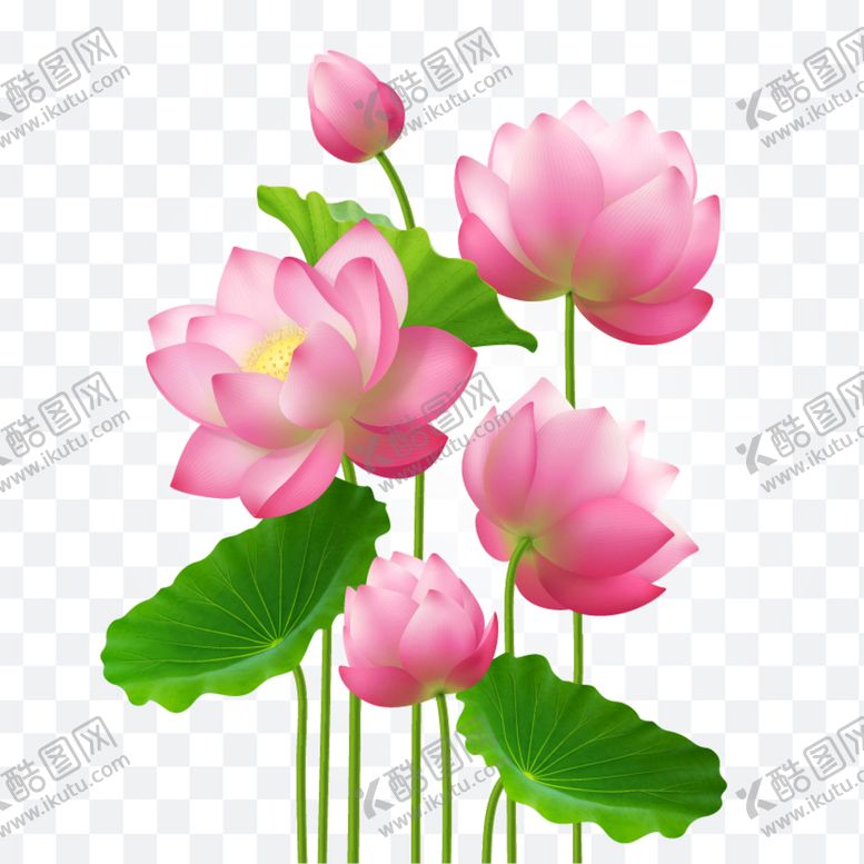 编号：52496309140433477941【酷图网】源文件下载-矢量荷花 高清 国画 背景