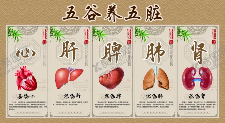 编号：11273106292009249577【酷图网】源文件下载-五谷养五脏