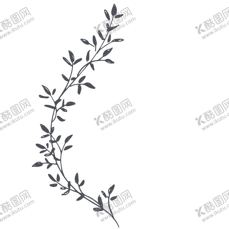 编号：11057110302125592129【酷图网】源文件下载-手绘植物