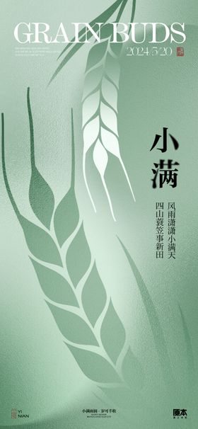 小满简约节气海报