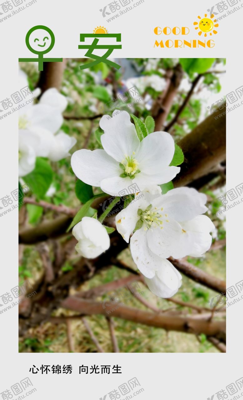 编号：41517110130523216099【酷图网】源文件下载-早安