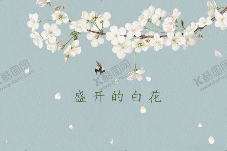 编号：23036509231914499661【酷图网】源文件下载-盛开的白花