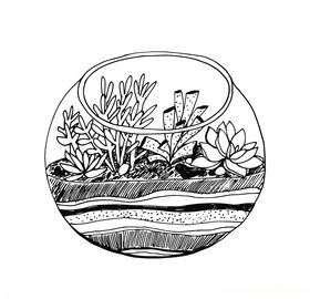 植物线稿