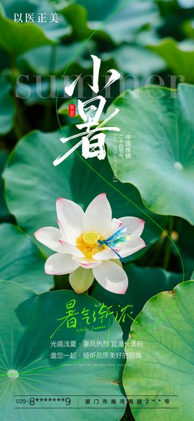 小暑节气海报