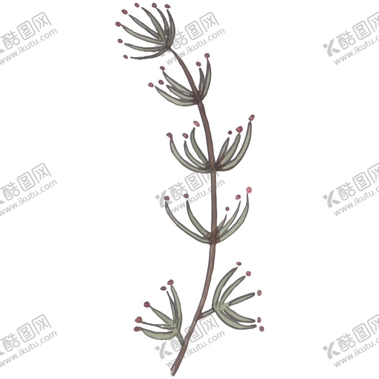 编号：33663810010228254230【酷图网】源文件下载-叶子图片