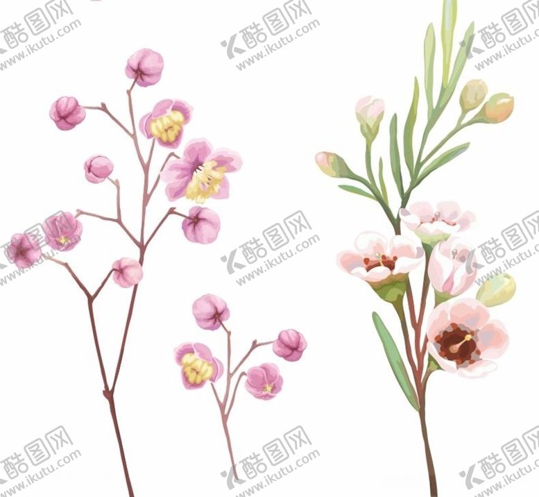 编号：42994107140627509009【酷图网】源文件下载-水彩花朵小花朵
