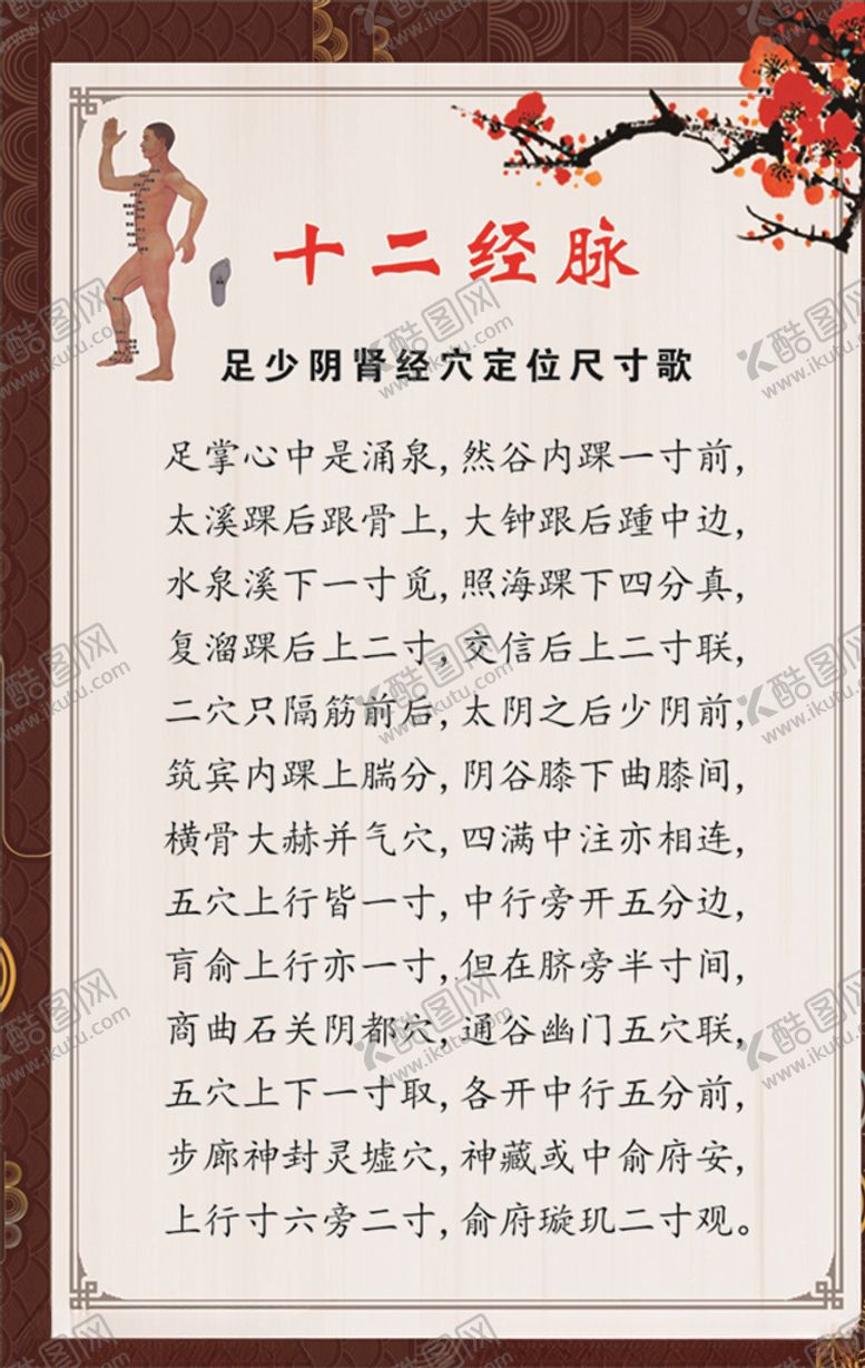 编号：66444810280548257447【酷图网】源文件下载-足少阴肾经穴定位尺寸歌