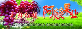红提子