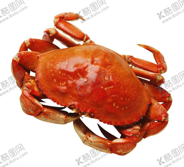 编号：41897805121648417877【酷图网】源文件下载-螃蟹