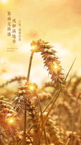 小满