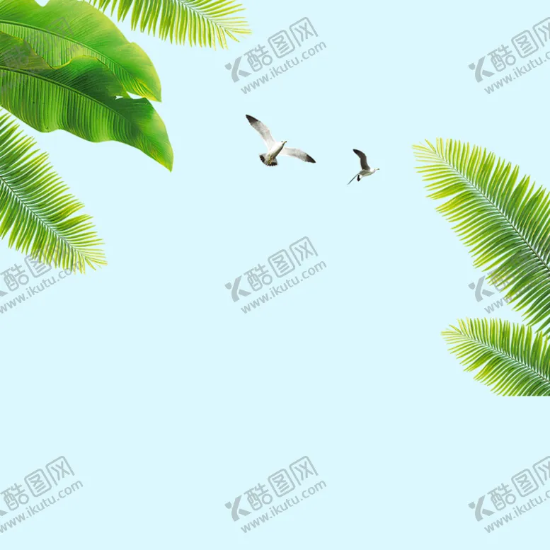 编号：97602109270642596325【酷图网】源文件下载-树叶蓝天