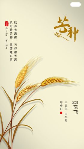 芒种大气海报传统24节气