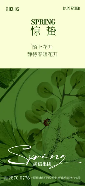 惊蛰节气海报植物简约二十四昆虫