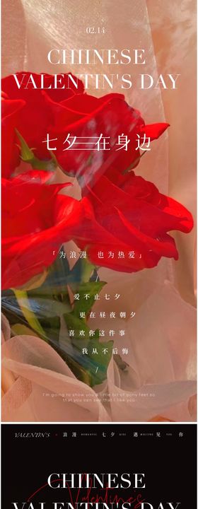 情人节海报公历日系列214玫瑰花