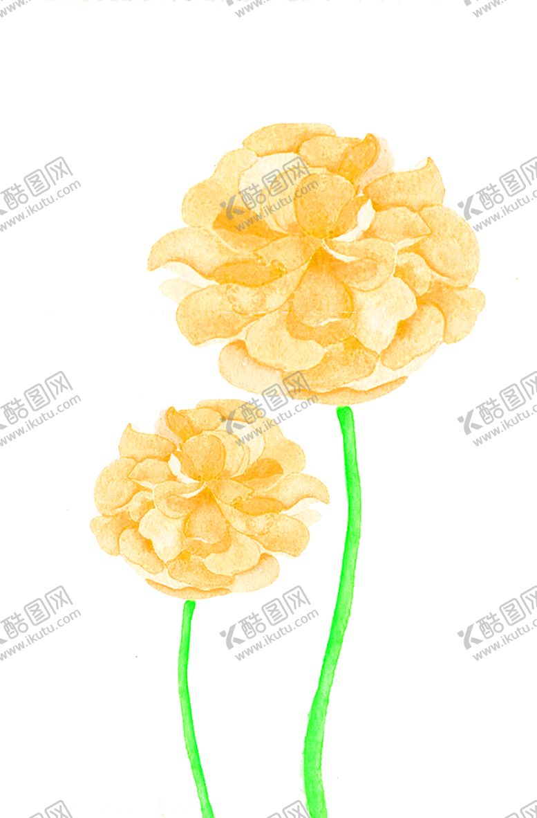 编号：65698207141438129270【酷图网】源文件下载-花素材