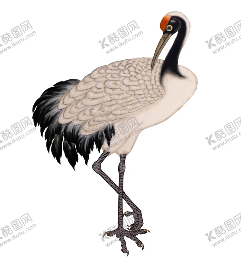 编号：45728307061852365563【酷图网】源文件下载-仙鹤元素