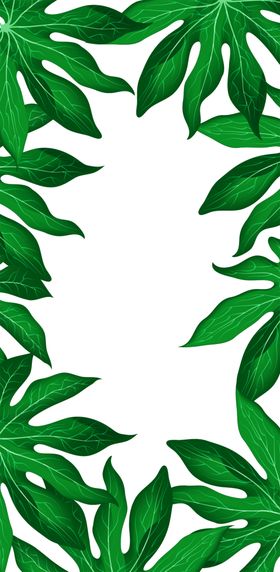 花边底纹